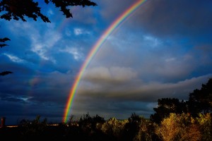 Rainbow in Monterey 